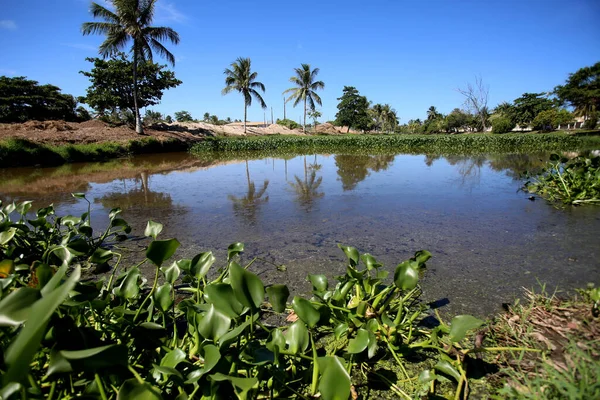 Salvador Bahia Brazil 2017年11月21日 Uro Freitas市Vilas Atlantico地区的Rio Sapato景观 湖中的生活污水来自该地区 — 图库照片
