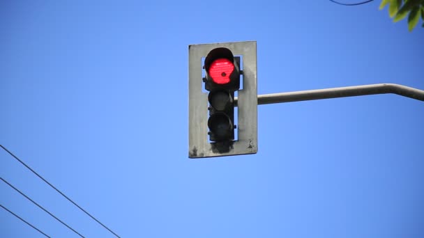 Salvador Bahia Brazil Juli 2020 Een Verkeerslicht Zien Buurt Van — Stockvideo