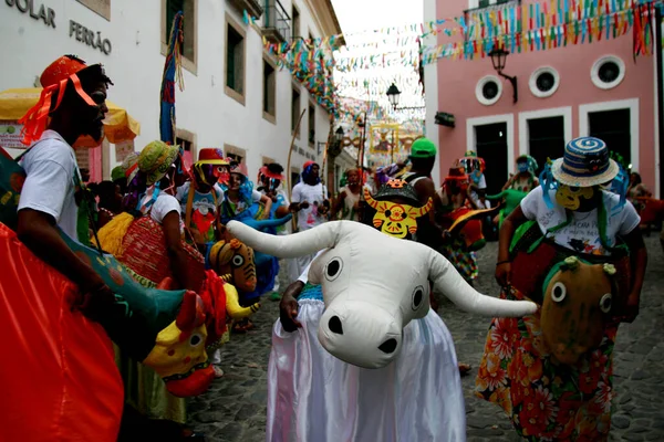 Salvador Bahia Brazil Февраля 2015 Культурная Демонстрация Foclorica Bumba Meu — стоковое фото