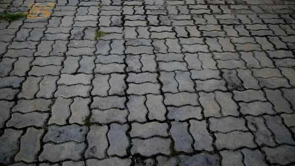 Salvador Bahia Brazil July 2020 Pavement Made Concrete Bricks Seen — Stock Photo, Image