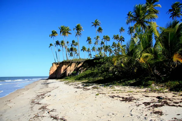 Prado Bahia Brasilien Juli 2008 Blick Auf Den Strand Der — Stockfoto