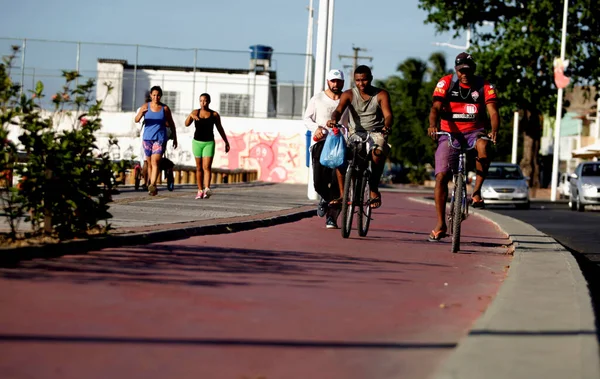 Salvador Bahia Brasil Dezembro 2015 Ciclista Ciclovia Avenida Beira Mar — Fotografia de Stock