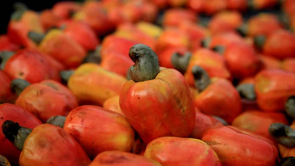 Salvador Bahia Brasil Julio 2020 Ven Frutos Anacardo Venta Ciudad — Foto de Stock