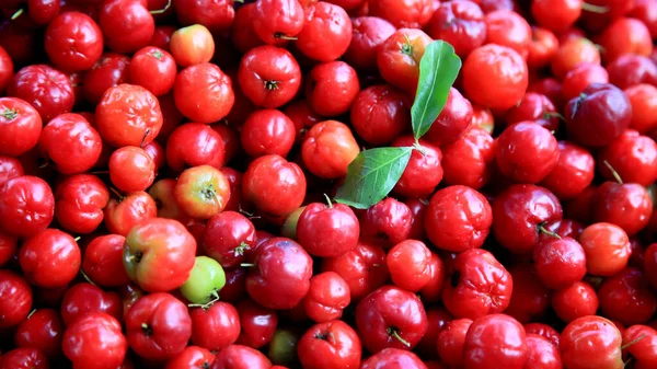 Salvador Bahia Brazil July 2020 Acerola Fruit Seen Sale City — Stock Photo, Image