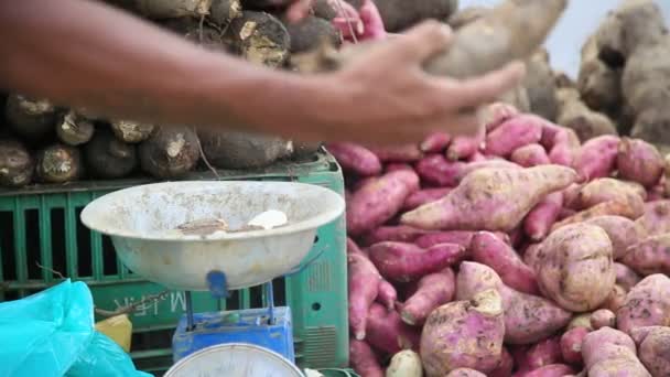 Salvador Bahia Brazil 2020年7月10日 在萨尔瓦多市看到木薯被出售 — 图库视频影像