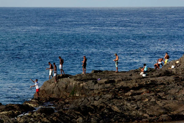 Salvador Bahia Brazil April 2013 Рибалки Можна Побачити Пляжі Барра — стокове фото