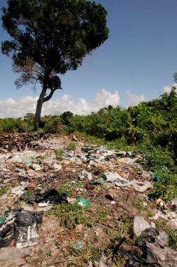 Porto Seguro, Bahia / Brezilya - 6 Eylül 2010: Porto Seguro belediyesinde kalan Mata Atlantica bölgesinde çöplerin atılması.