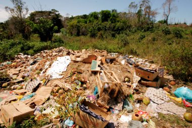 Porto Seguro, Bahia / Brezilya - 6 Eylül 2010: Porto Seguro belediyesinde kalan Mata Atlantica bölgesinde çöplerin atılması.