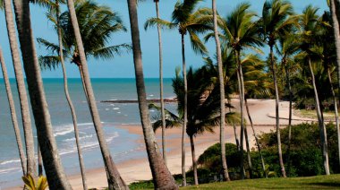 Prado, Bahia / Brezilya - 5 Ağustos 2008: Prado belediyesinin Corumbau bölgesindeki plaj manzarası. 