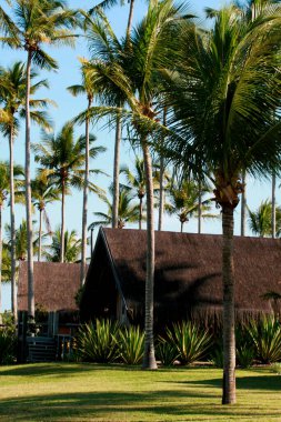 Prado, Bahia / Brezilya - 5 Ağustos 2008: Prado kıyısında Corumbau sahilinin yanında dağ evi görüldü..