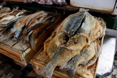 Salvador, Bahia / Brezilya - 11 Mayıs 2013: Salvador kentindeki Sao Joaquin fuarında tuzlu balık sergileniyor.