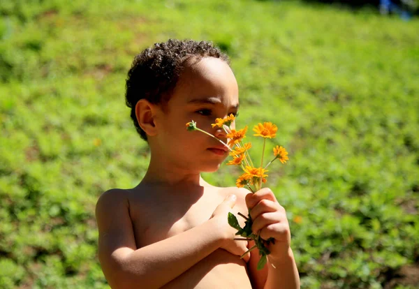 Salvador Bahia Brasil Julio 2020 Florece Niño Seguro Jardín Ciudad —  Fotos de Stock