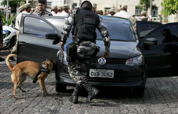 Salvador Bahia Brasil Agosto 2016 Militares Batalha Choque Usan Perro —  Fotos de Stock