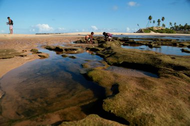 Conde, Bahia / Brezilya - 9 Eylül 2012: Bahia 'nın kuzey kıyısındaki Conde belediyesinde Barra do itariri plajı manzarası