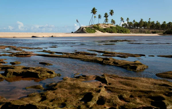 Conde Bahia Brasil Septiembre 2012 Vista Playa Barra Itariri Municipio — Foto de Stock