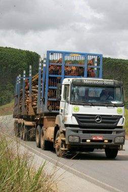 Eunapolis, Bahia / Brezilya - 27 Ocak 2011: Eunapolis şehrinde okaliptüs ağacını taşımak için kullanılan çift trenli vagon BR 101 karayolundan geçerken görüldü..