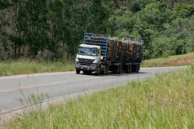 Eunapolis, Bahia / Brezilya - 27 Ocak 2011: Eunapolis şehrinde okaliptüs ağacını taşımak için kullanılan çift trenli vagon BR 101 karayolundan geçerken görüldü..