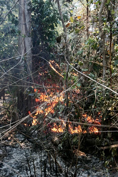 Prado Bahia Brasil Novembro 2011 Incêndio Florestal Visto Parque Cidade — Fotografia de Stock