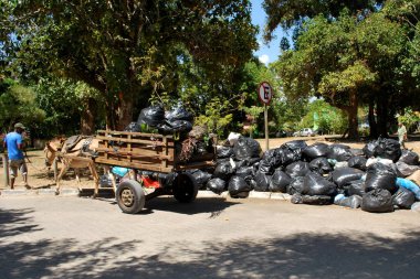 Porto seguro, Bahia / Brezilya - 10 Ocak 2012: Porto Seguro şehrinin Trancoso bölgesinde hayvan vagonu lixom toplamak için kullanılır..