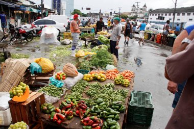 Salvador, Bahia, / Brezilya - 18 Mayıs 2014: Salvador kentindeki Sao Joaquim fuarında satılık ortifrutes tezgahı