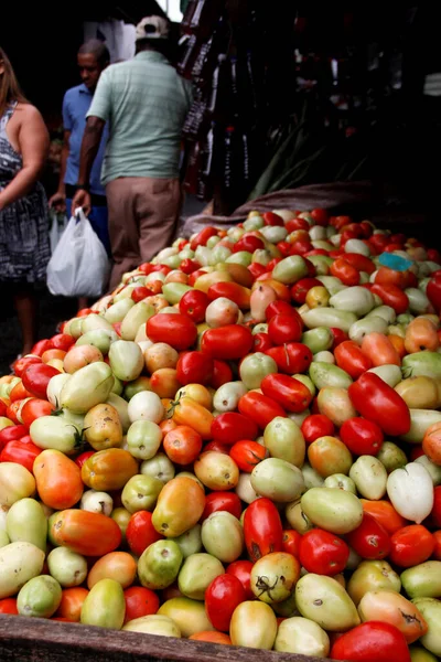 2013 Salvador Bahia Brazil April 2013 Tomatoes Sale Sao Joaquim — 스톡 사진