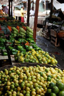 Salvador, Bahia / Brezilya - 21 Nisan 2013: Salvador 'daki Sao Joaquim fuarında limon satışı