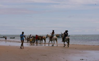 Porto seguro, Bahia / Brezilya - 19 Mart 2010: Porto Seguro şehir plajını gezmek için kullanılan atlar.