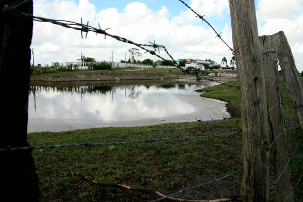 Eunapolis Bahia Brazil Pazdziernika 2008 Mieście Eunapolis Południowej Bahii Widziany — Zdjęcie stockowe