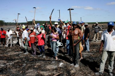 Eunapolis, Bahia / Brezilya - 27 Temmuz 2009: Luta pela Terra Hareketi üyesi - MLT - Eunapolis kırsalında okaliptüs tarlaları olan bir çiftliği işgal ederken görüldü..