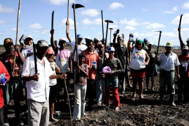 Eunapolis, Bahia / Brezilya - 27 Temmuz 2009: Luta pela Terra Hareketi üyesi - MLT - Eunapolis kırsalında okaliptüs tarlaları olan bir çiftliği işgal ederken görüldü..