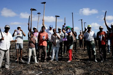 Eunapolis, Bahia / Brezilya - 27 Temmuz 2009: Luta pela Terra Hareketi üyesi - MLT - Eunapolis kırsalında okaliptüs tarlaları olan bir çiftliği işgal ederken görüldü..