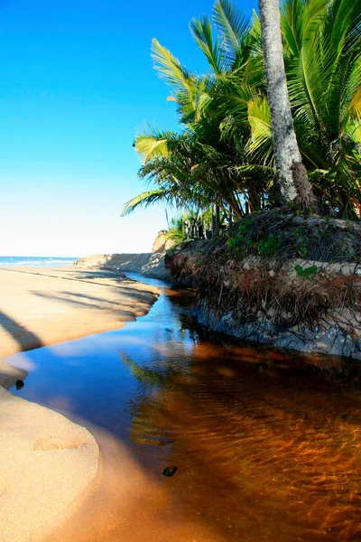 Prado Bahia Brazil Styczeń 2009 Ujście Rzeki Cahy Mieście Prado — Zdjęcie stockowe