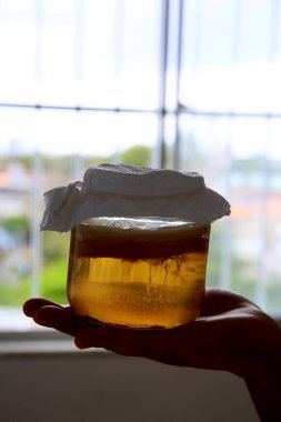 Salvador, Bahia / Brezilya - 20 Eylül 2020: Salvador şehrinde Scoby kombucha fermantasyonu görüldü..