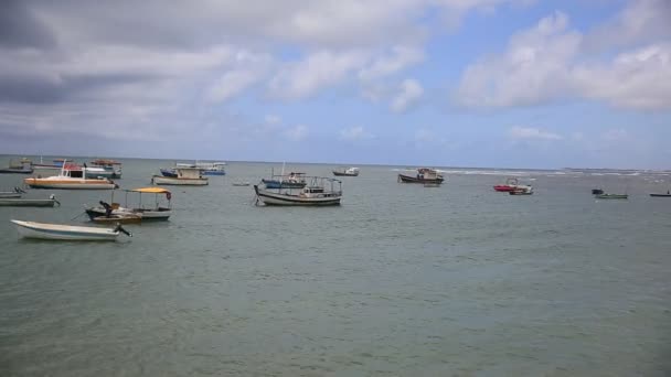 Mata São João Bahia Brasil Setembro 2020 Vista Praia Forte — Vídeo de Stock