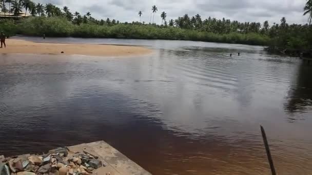 Mata Sao Joao Bahia Brazil Σεπτεμβρίου 2020 Θέα Του Ποταμού — Αρχείο Βίντεο