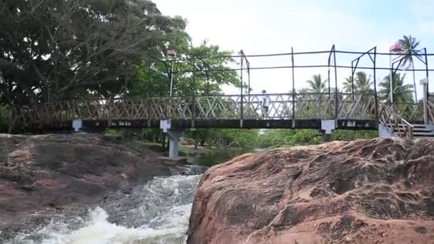 Mata Sao Joao Bahia Brazil September 2020 Över Floden Imbassai — Stockvideo