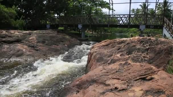 Mata Sao Joao Bahia Brazil November 2020 Pemandangan Sungai Imbassai — Stok Video