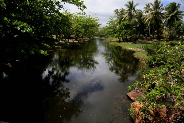 Mata Sao Joao Bahia Brazil September 2020 Över Floden Imbassai — Stockfoto