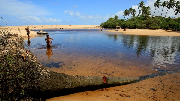 Mata Sao Joao Bahia Brazil September 2020 Uitzicht Imbassai Bij — Stockfoto