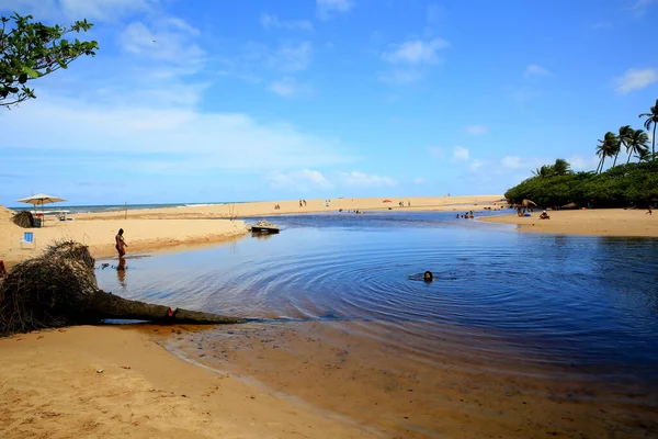 Mata Sao Joao Bahia Brazil Wrzesień 2020 Widok Rzekę Imbassai — Zdjęcie stockowe