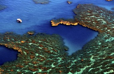 Caravelas, Bahia / Brezilya - 13 Eylül 2008: Güney Bahia 'daki Marinho dos Abrolhos Takımadasının havadan görünüşü.