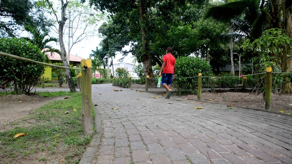 Mata São João Bahia Brasil Setembro 2020 Vista Parque Cidade — Fotografia de Stock