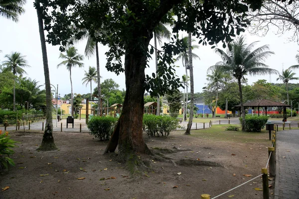 Mata Sao Joao Bahia Brazil Sseptember 2020 View City Park — стоковое фото