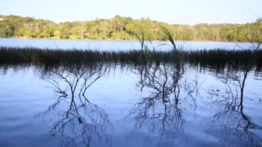 Mata de Sao Joao, Bahia / Brezilya - 30 Eylül 2020: Bahia 'nın kuzey kıyısındaki Mata de Sao Joao şehrindeki Lagoa do Arua sularının manzarası.