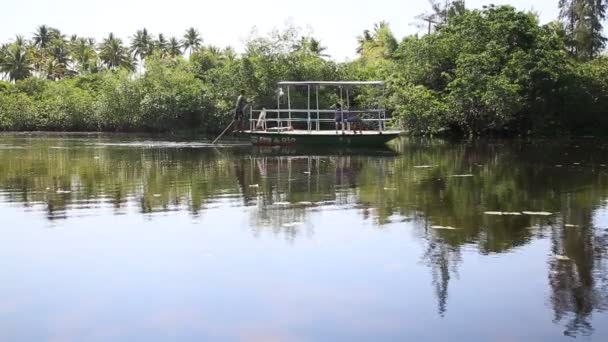 Mata Sao Joao Bahia Brazil Wrzesień 2020 Widok Rzekę Imbassai — Wideo stockowe