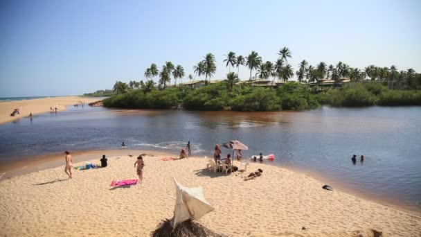 Mata Sao Joao Bahia Braztdecember 2020 View River Imbassai Mouth — 图库视频影像