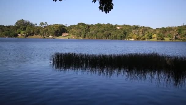 Mata Sao Joao Bahia Brazil September 2020 Över Vattnet Lagoa — Stockvideo