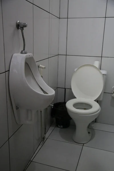 Salvador Bahia Brazil October 2020 Toilet Urinal Seen Bathroom Commercial — Stock Photo, Image