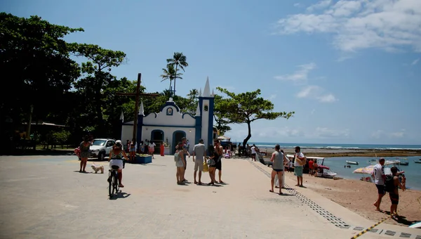 Mata Sao Joao Bahia Brazil October 2020年 圣约翰市Praia Forte地区San Francisco — 图库照片