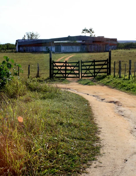 Mata Sao Joao Bahia Brahbel Октября 2020 Года Фермерские Ворота — стоковое фото